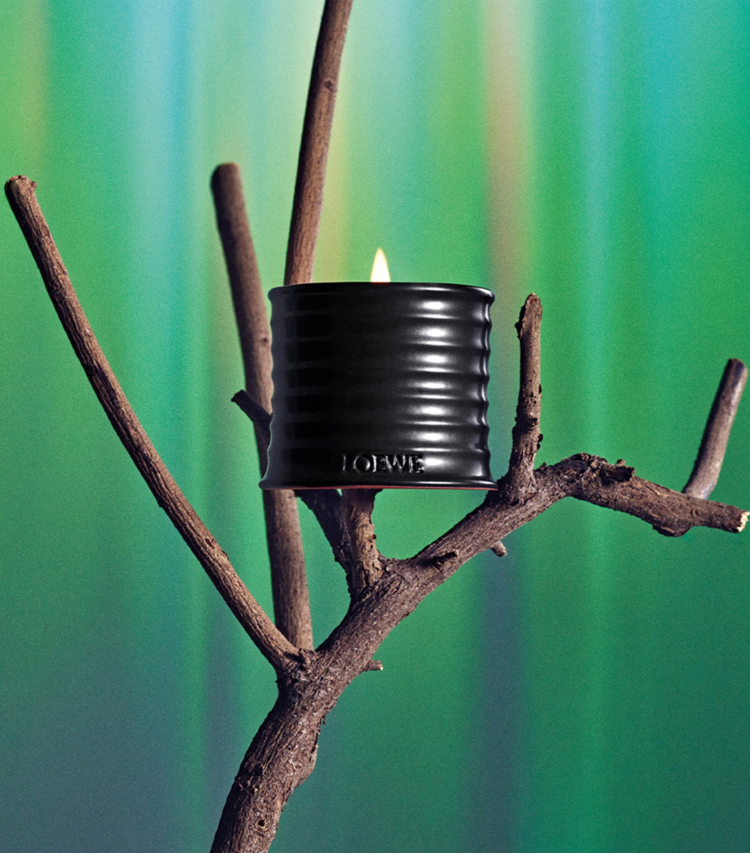 LOEWE Perfumes Small Palo Santo Scented Candle Image 4