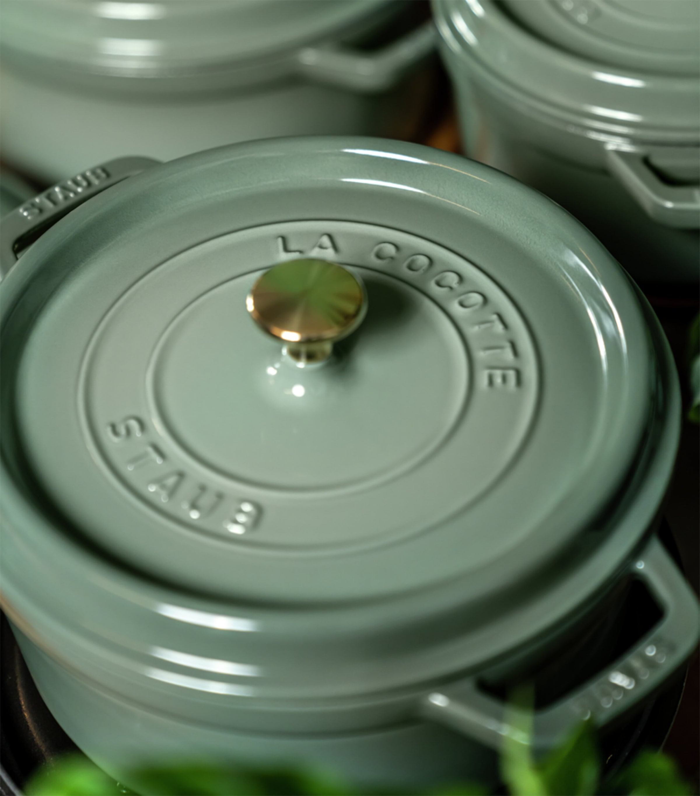 Round Cocotte (24cm) EUCALYPTUS Image 6