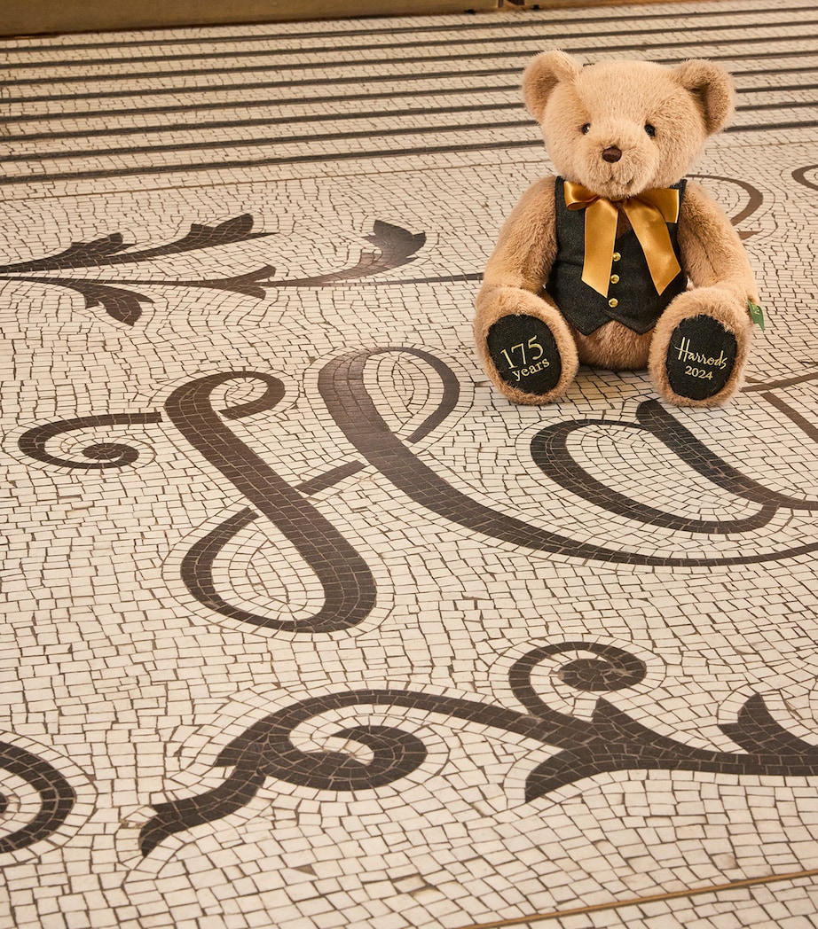 175 Anniversary Edition Bear 2024 Henry (33cm) BROWN Image 4