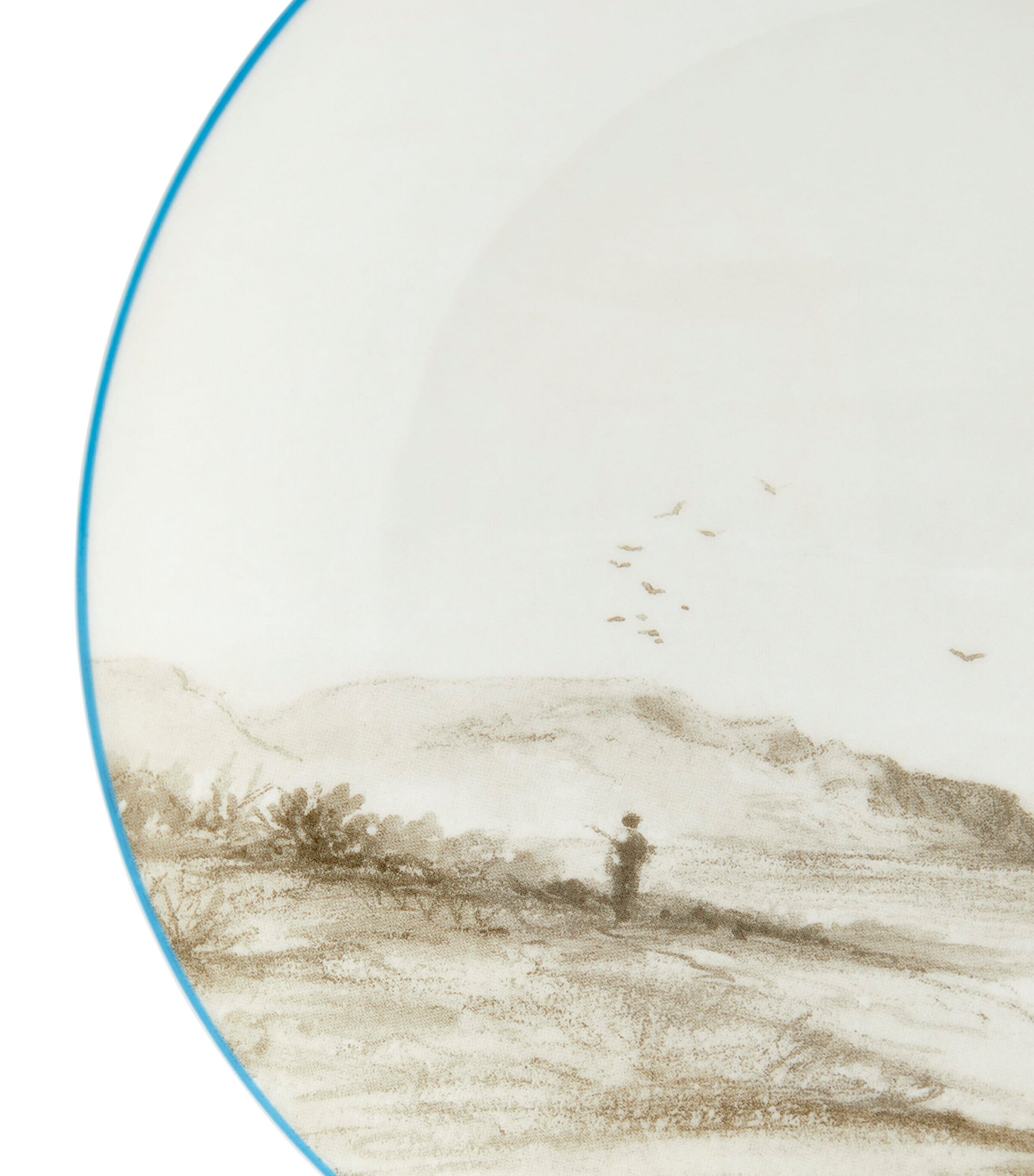 Voyage of the Beagle Brazil Plate, Teacup and Saucer Set MULTI Image 6