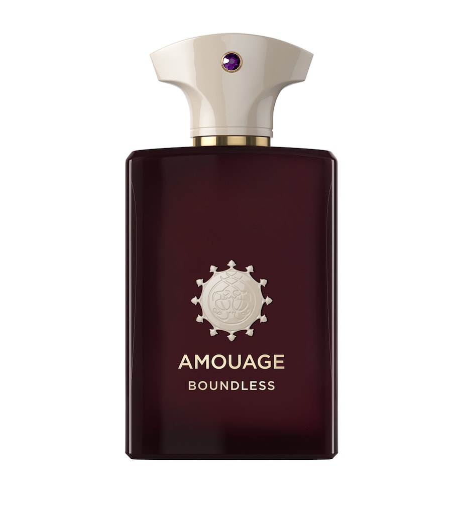 Boundless Eau de Parfum (100ml) NO COLOUR Image 1