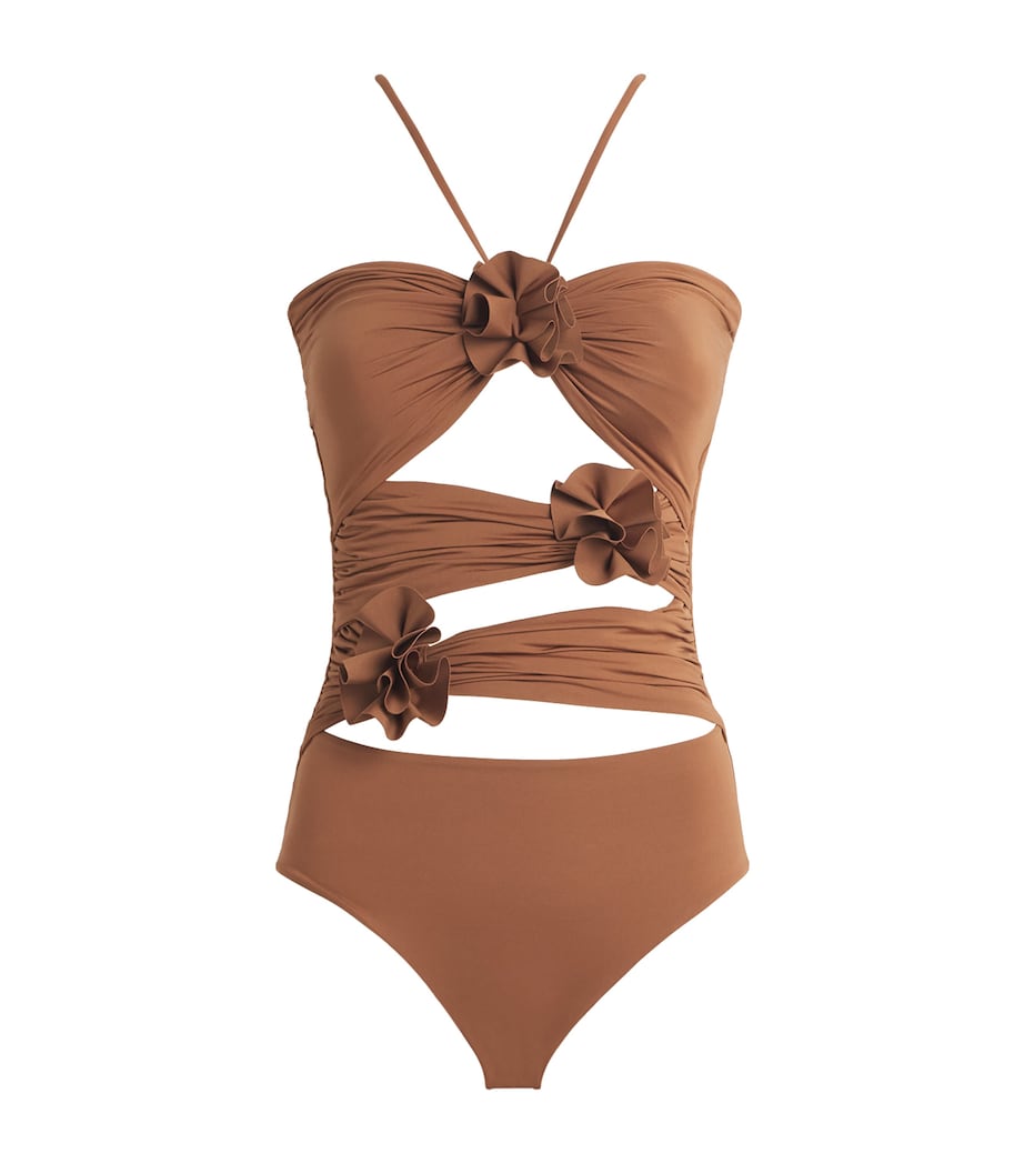 Trinitaria One-Piece Swimsuit COCOA BROWN 58 Image 1