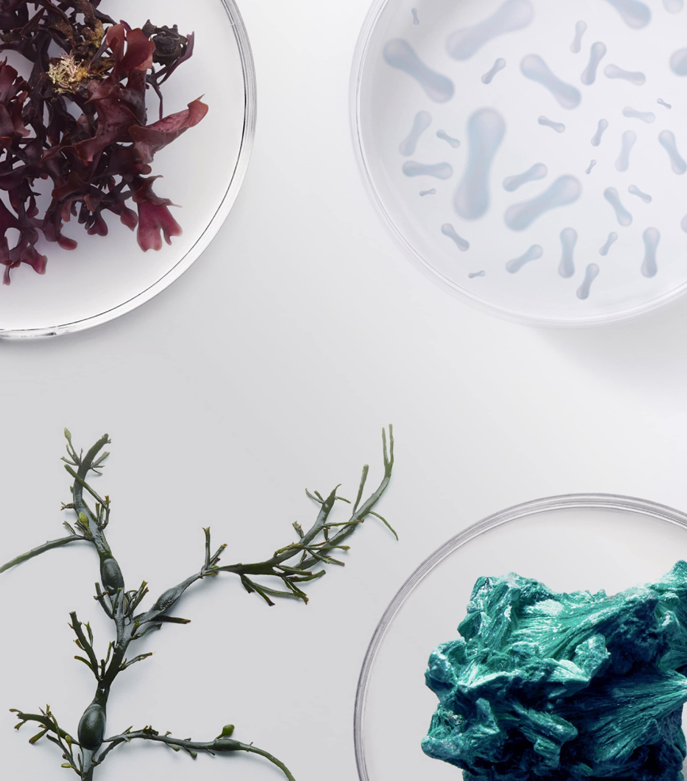 The Brilliant Radiant Resilience Moisturizer (30 x 0.8ml) NO COLOUR Image 3