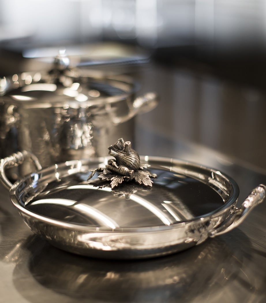 Opus Prima Gratin Pan with Lid (30cm) METALLIC Image 5