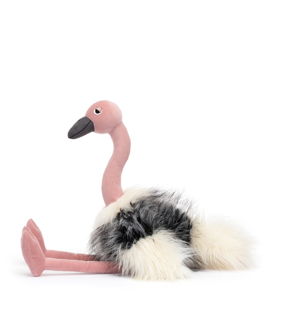 Ramonda Ostrich MULTI Image 2