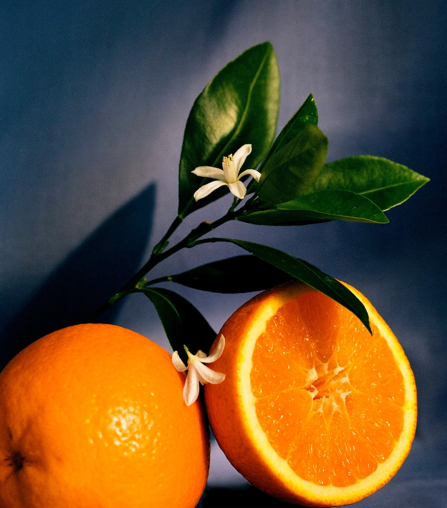 Small Orange Blossom Candle (0.5kg) NO COLOUR Image 3