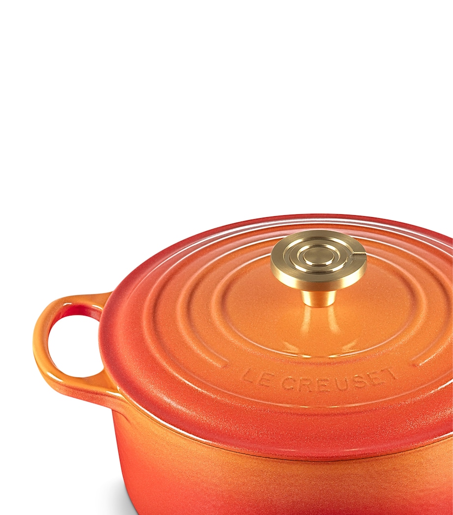 Cast Iron Flamme Dorée Round Casserole Dish (24cm) ORANGE Image 2