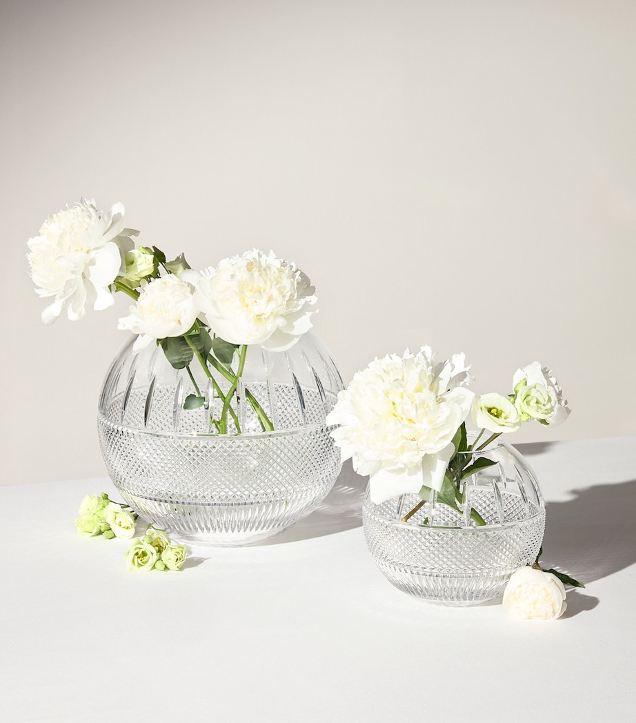 Crystal Mastercraft Irish Lace Rose Bowl (20cm) CLEAR Image 2