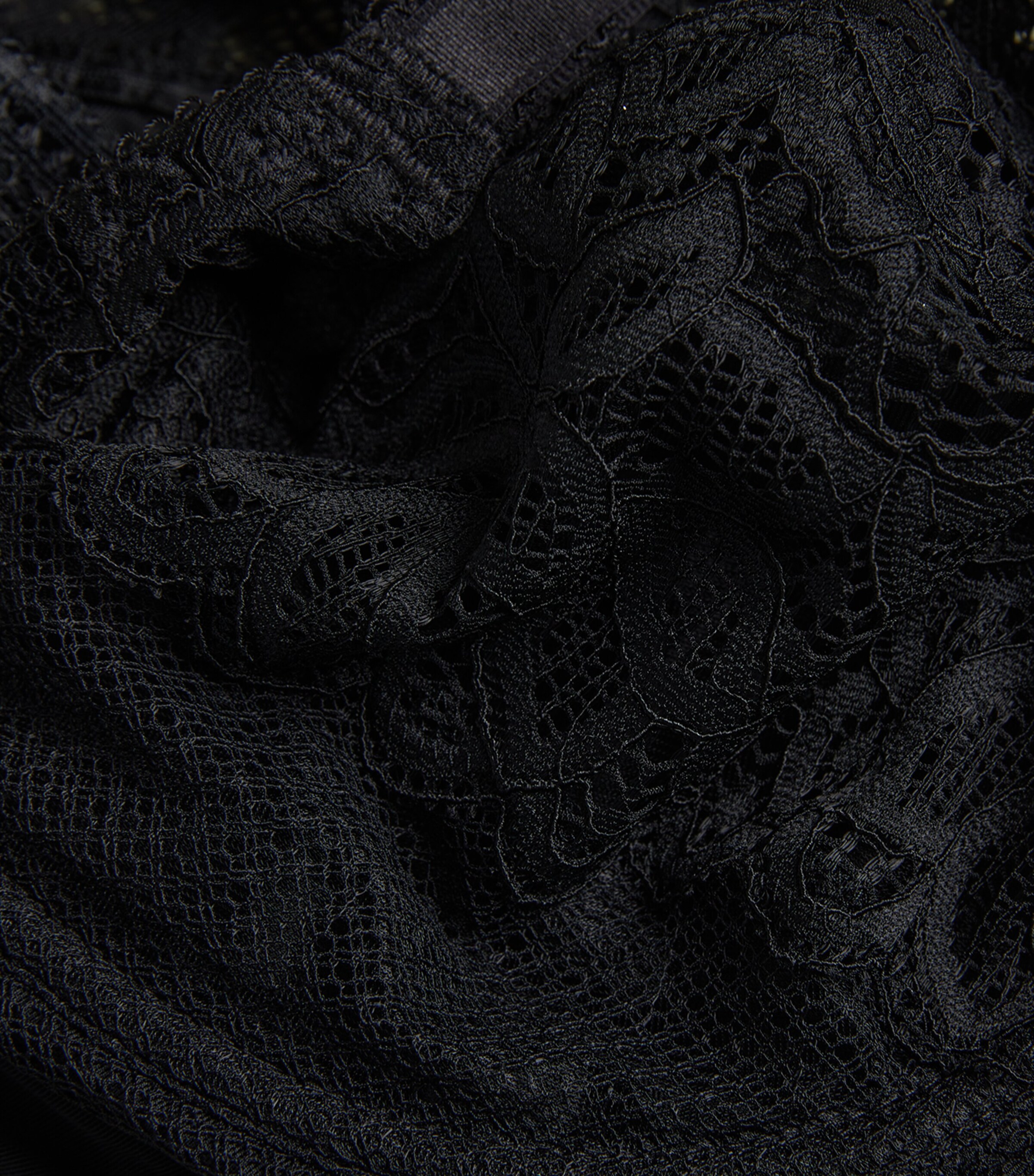 Lace Raffine Bra BLACK Image 4