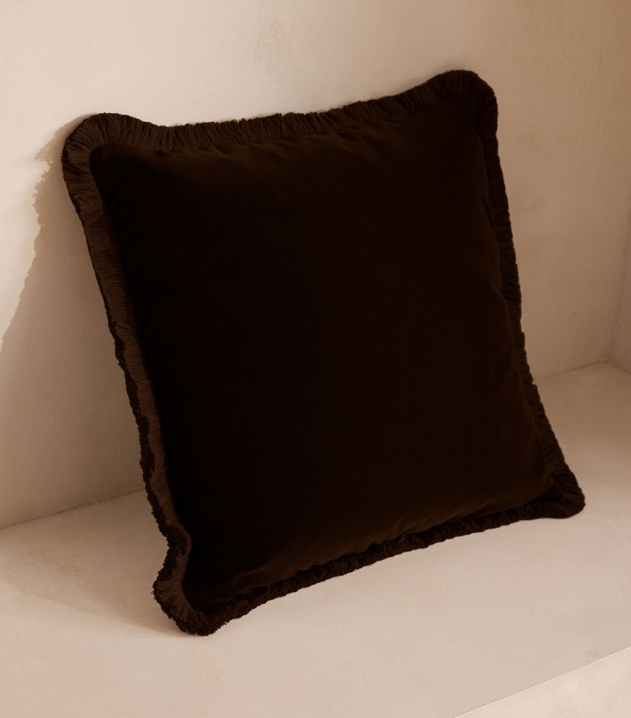 Velvet Margeaux Cushion (50cm x 50cm) CHOCOLATE Image 2