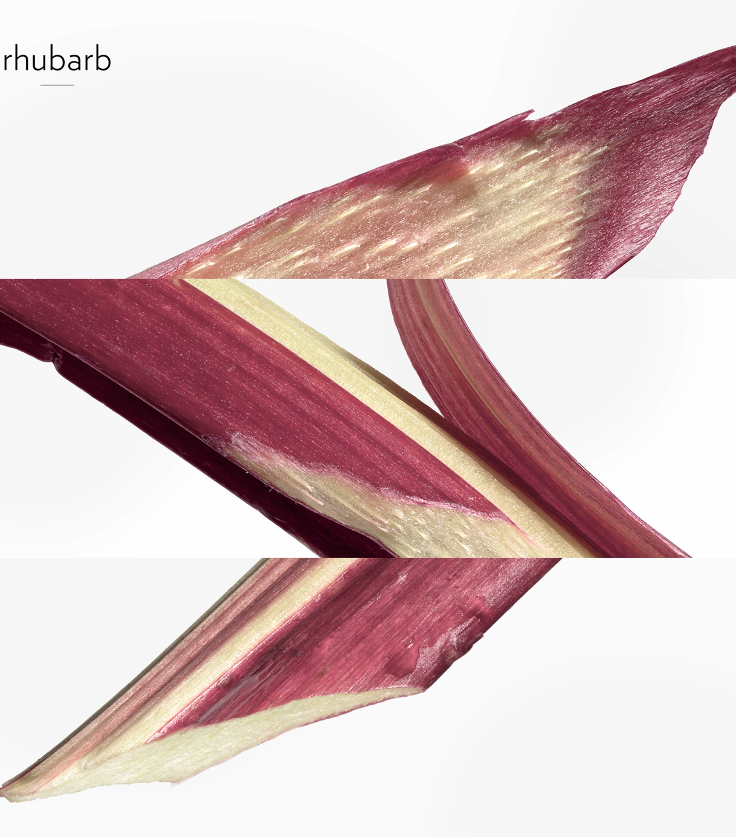 Eau de Rhubarbe Écarlate Eau de Cologne (100ml) NO COLOUR Image 4