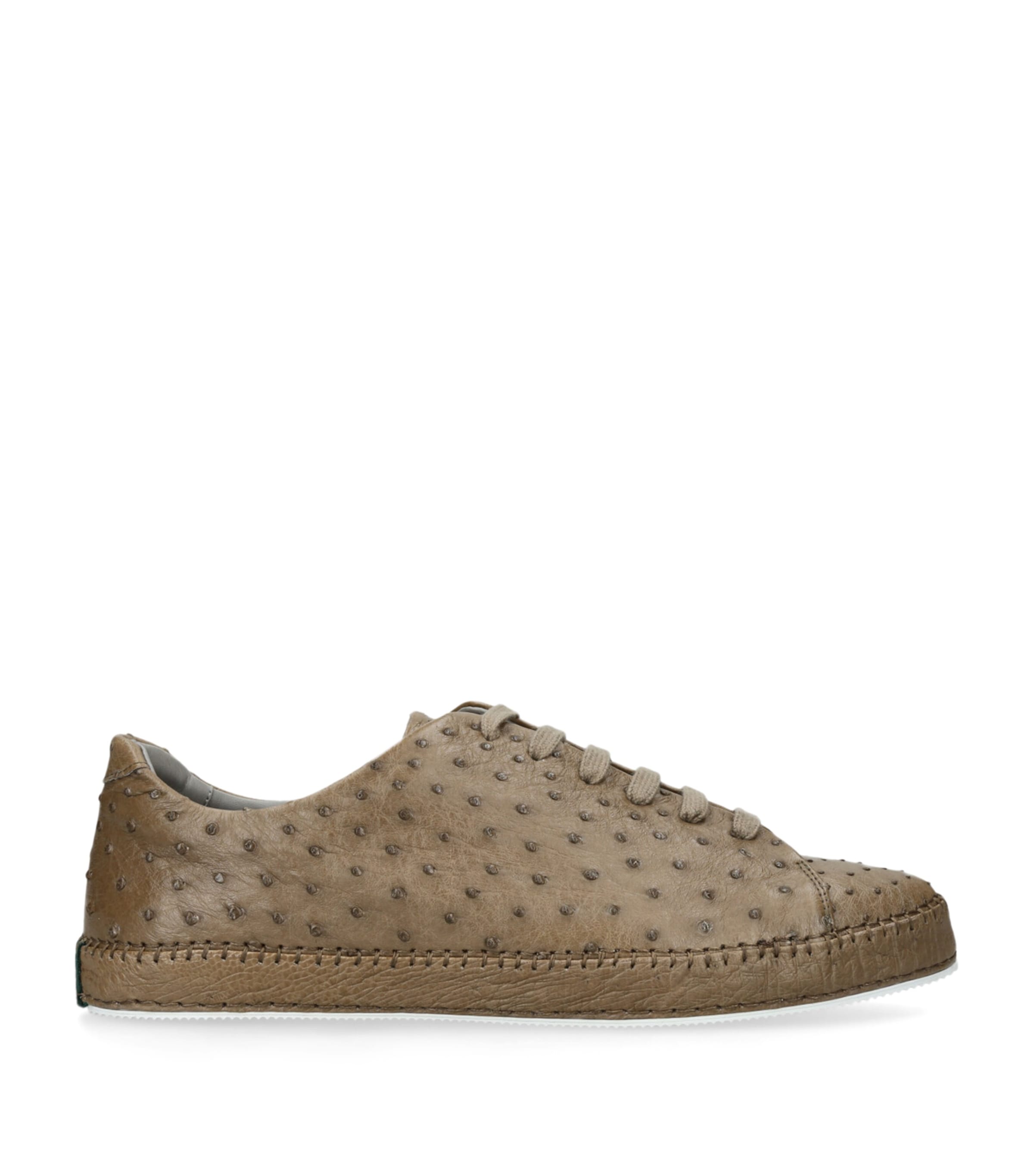 Brotini Ostrich Sneakers In Grey