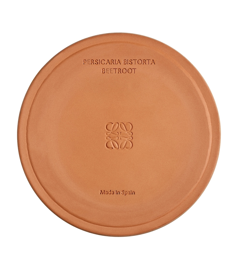 Large Beetroot Candle (2.12kg) NO COLOUR Image 3