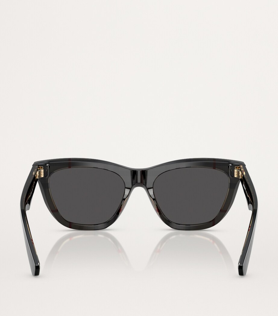 Acetate Wayfarer Sunglasses 412187 Image 4