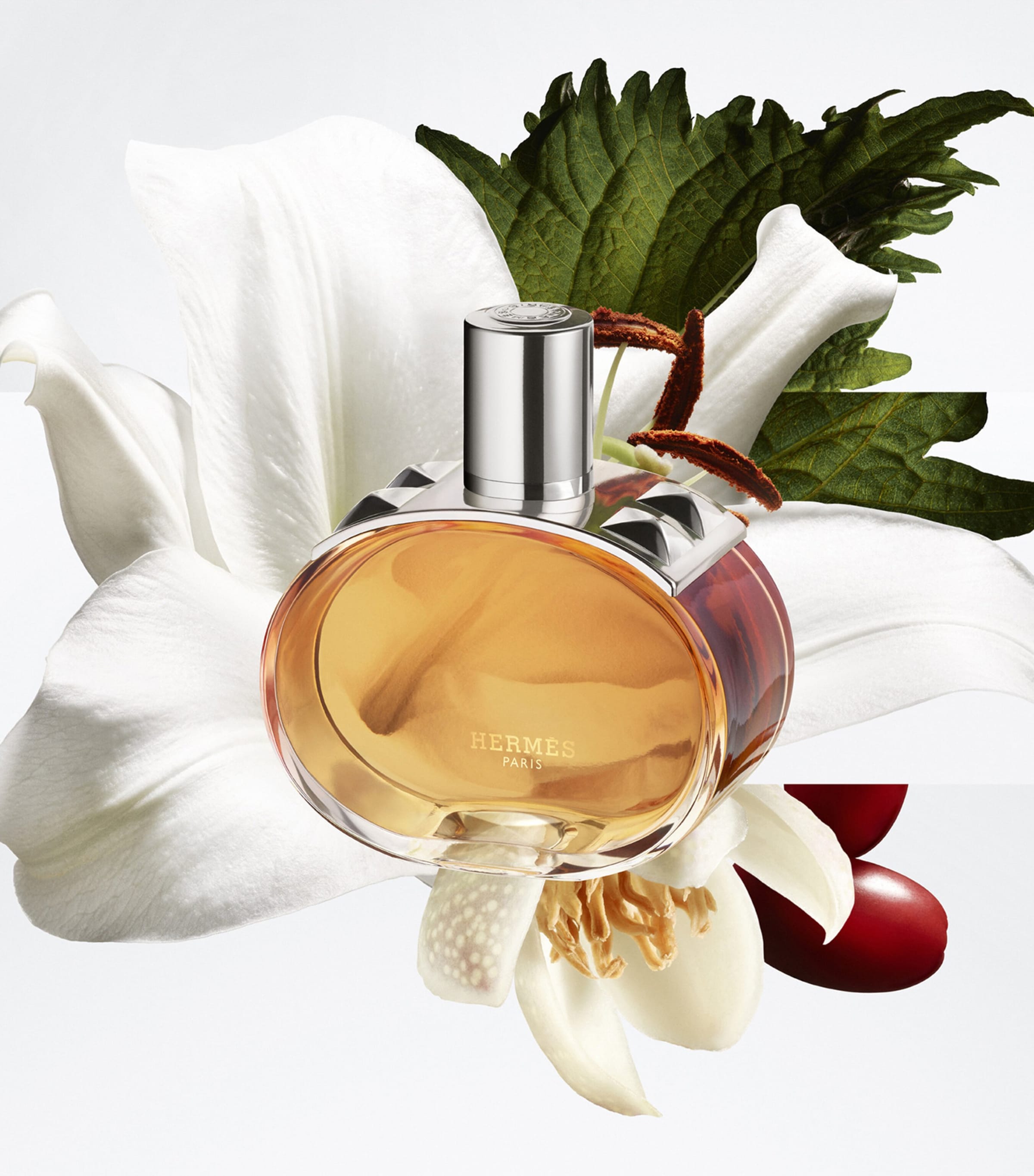 HERMÈS Barénia Pleine Fleur Eau de Parfum (60ml) Image 6