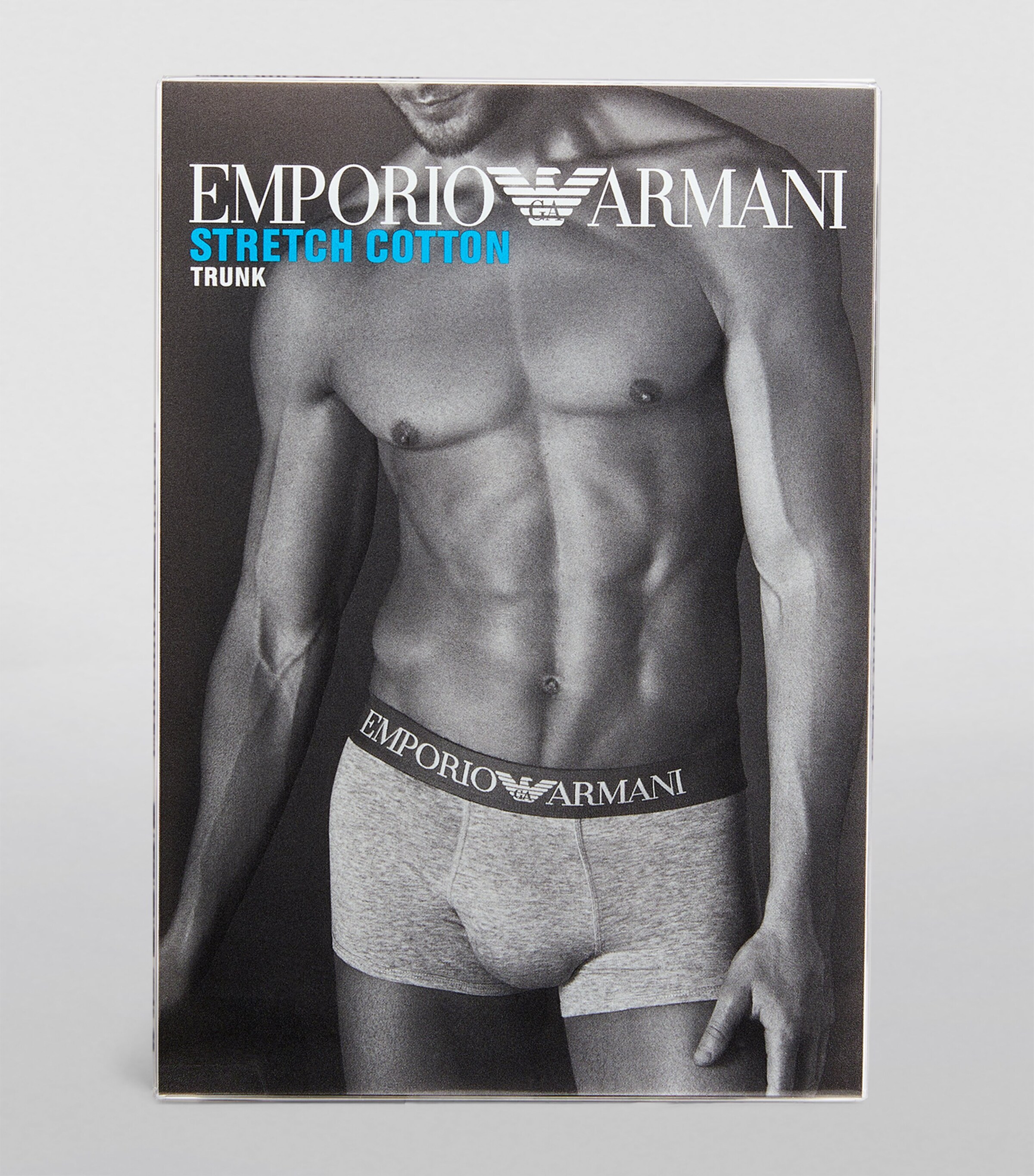 Logo Motif Trunks 00048 GRY Image 4