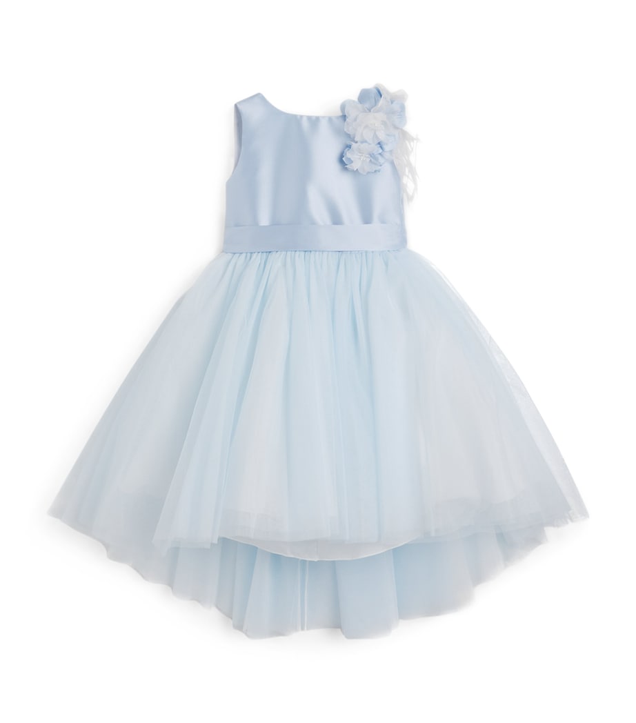 Tulle Floral-Detail Dress (2-14 Years) BLUE Image 1