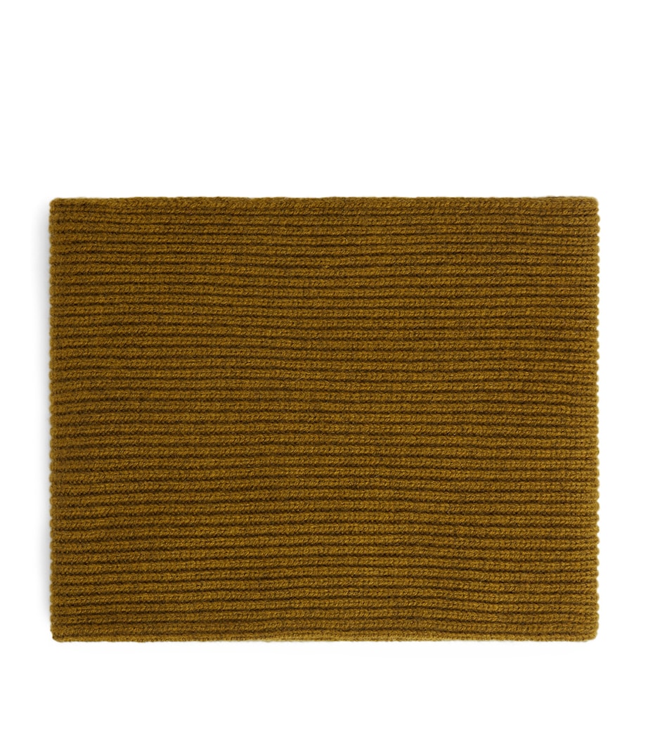 Bonpoint Cashmere Scarf Fougere Image 1