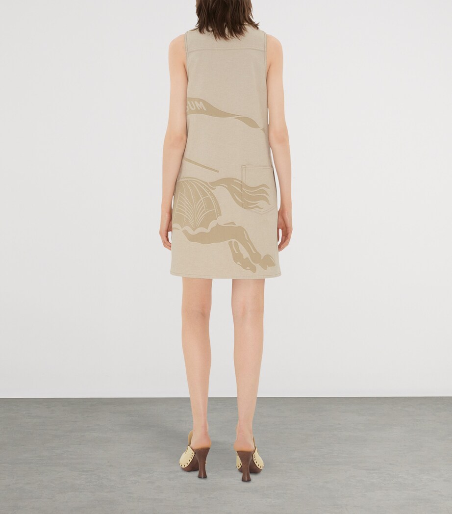 Denim EKD Mini Dress RUBBLE Image 3