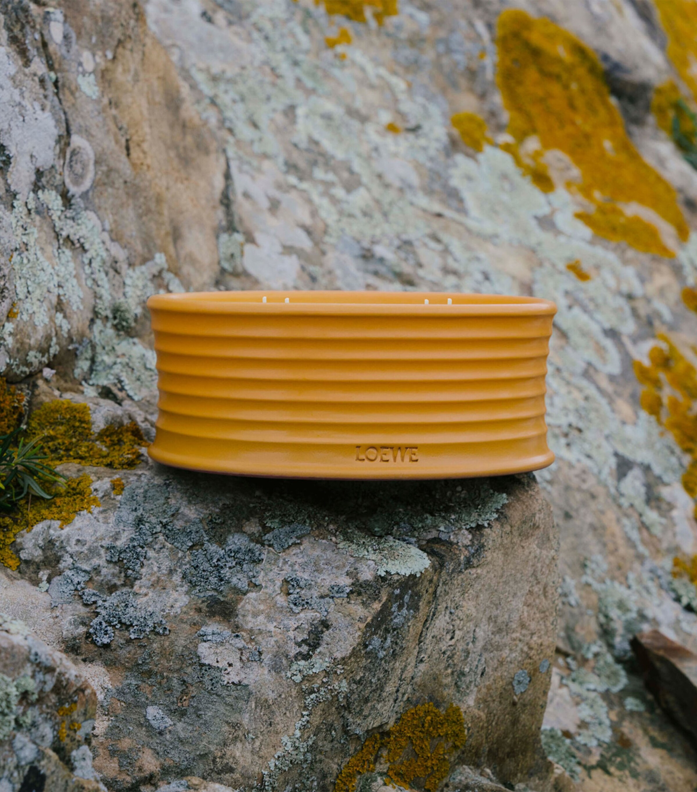 Ginger Outdoor Candle NO COLOUR Image 4