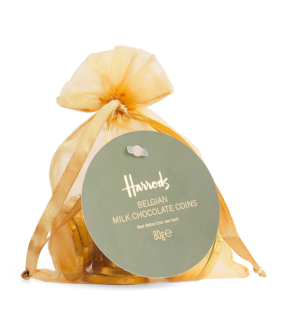 Milk Chocolate Gold Coins (80g) NO COLOUR Image 1