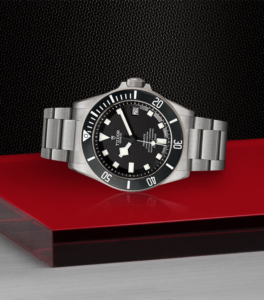 TUDOR Pelagos Titanium Watch 42mm Black Image 5