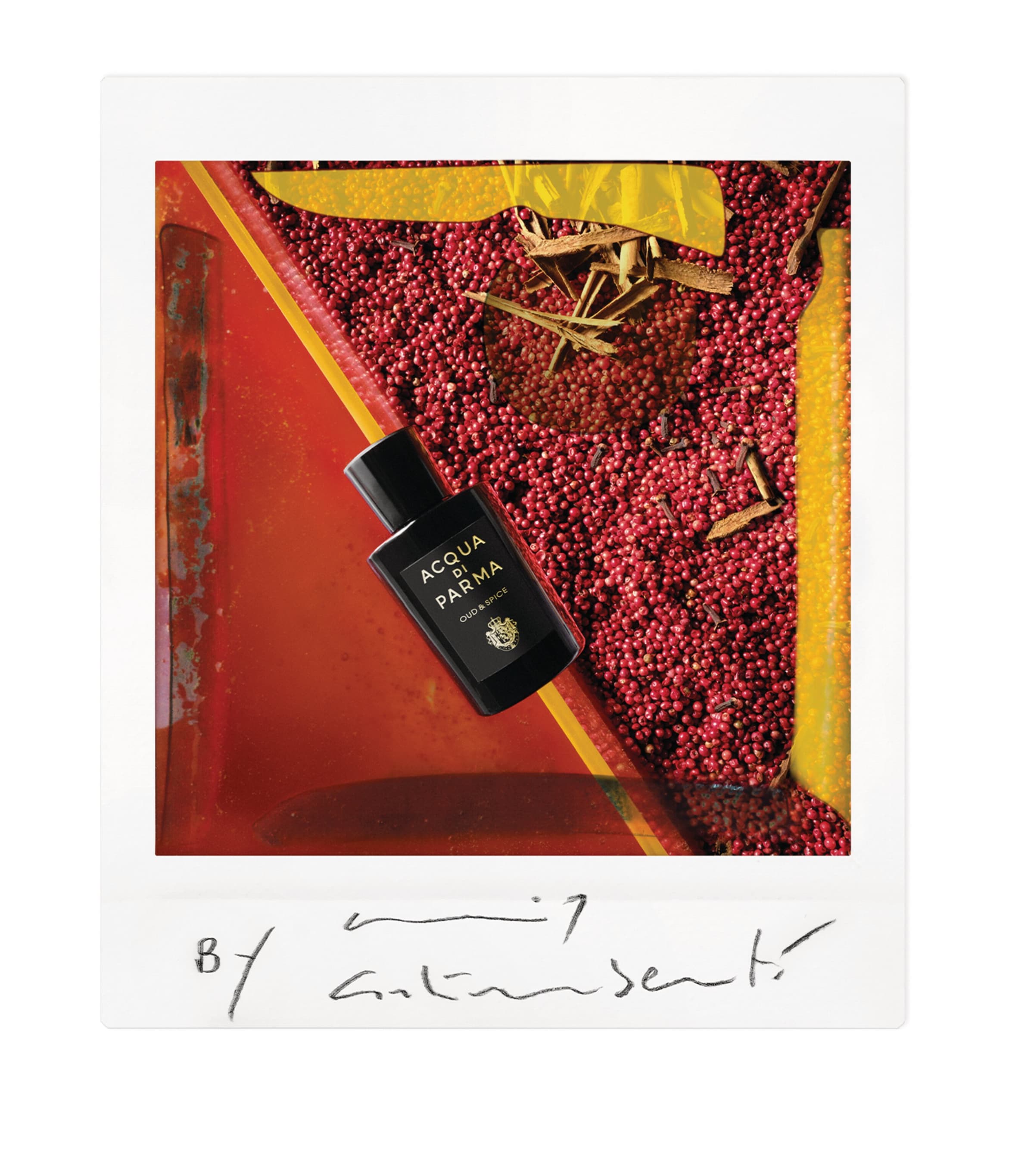 Oud & Spice Eau de Parfum (100ml) NO COLOUR Image 4