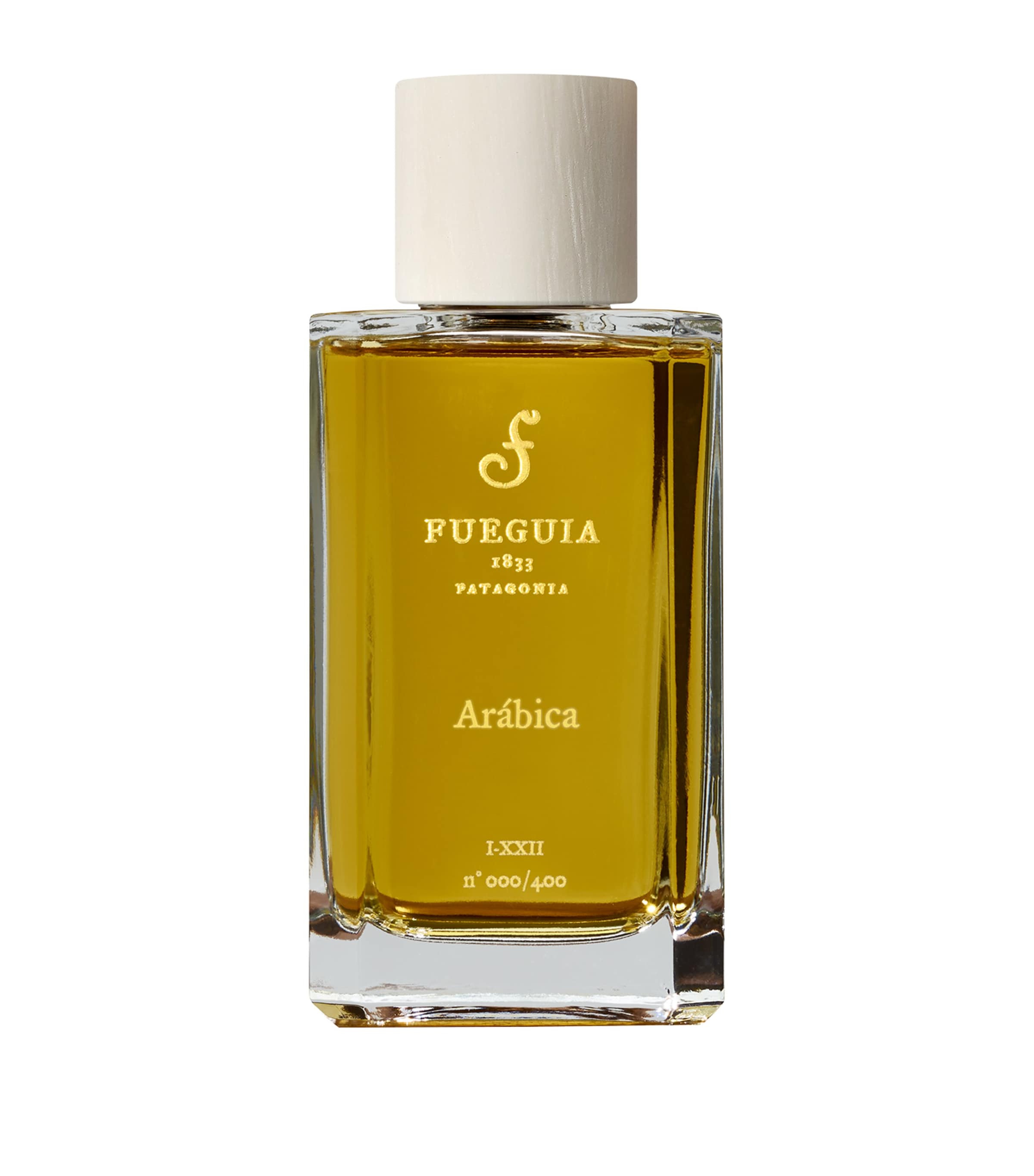 Fueguia 1833 Arábica Perfume (100ml) Image 1