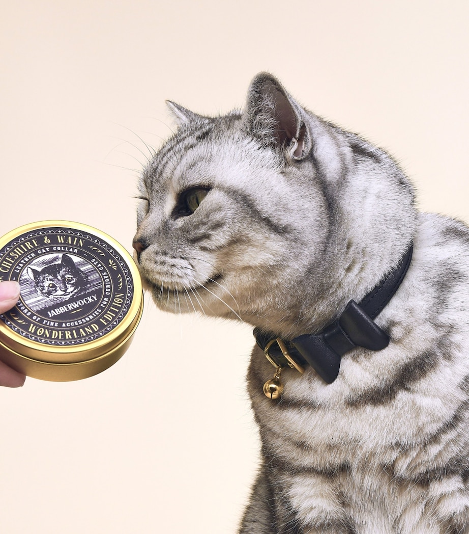 Small Leather Wonderland Cat Collar BLACK Image 4