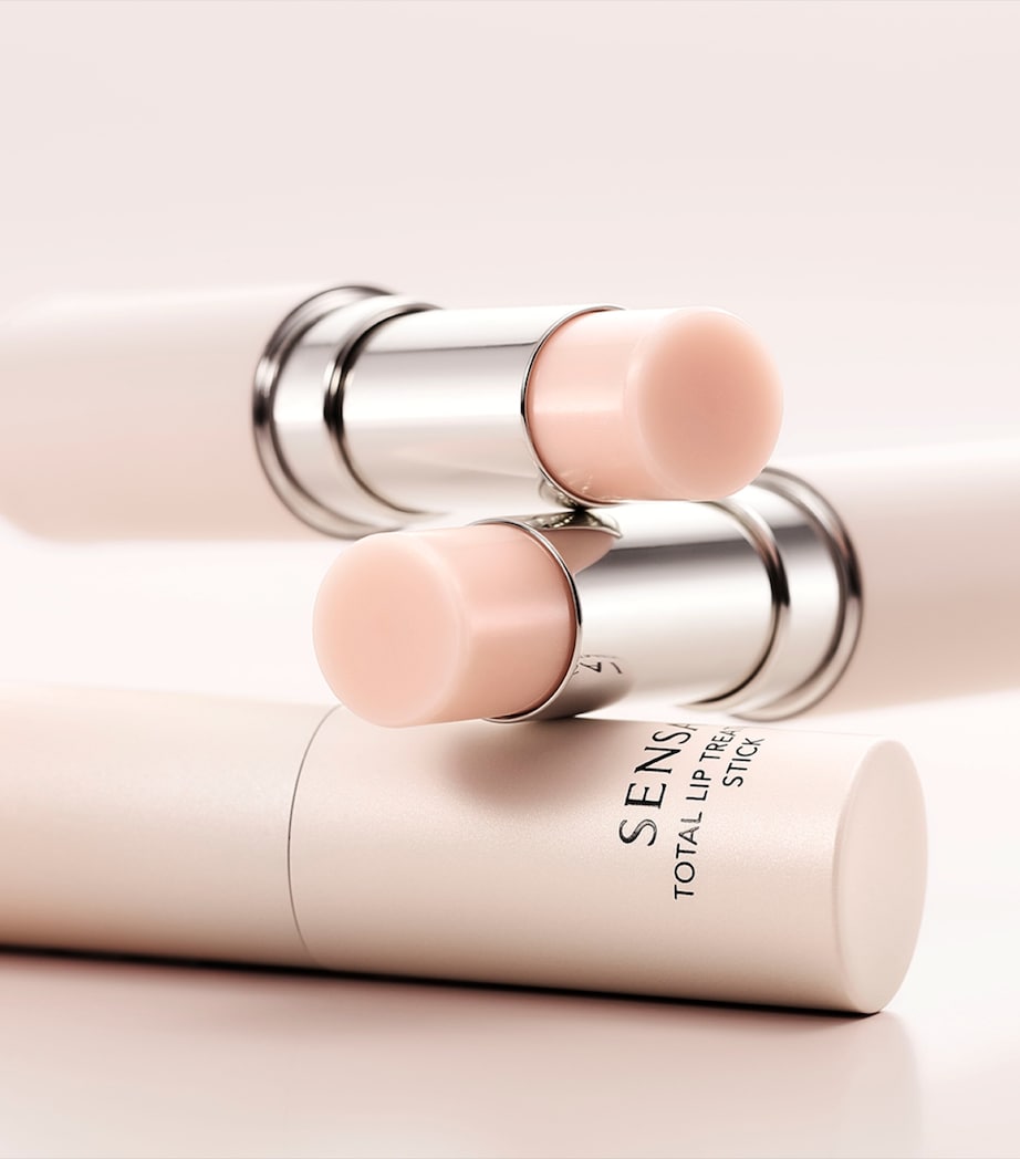 Total Lip Treatment Stick NO COLOUR Image 2