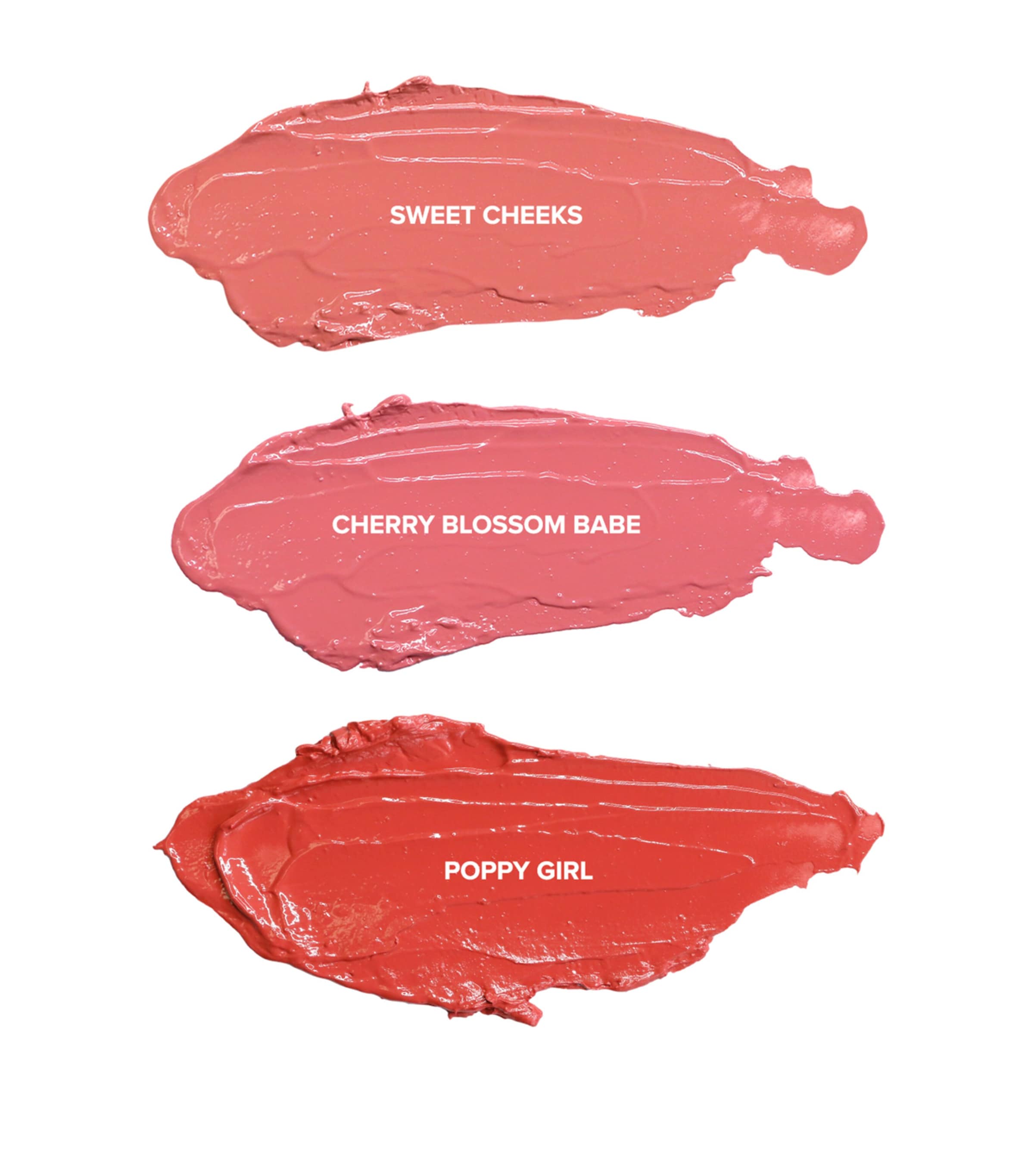 NUDESTIX Mini Pretty Blush Kit Image 4