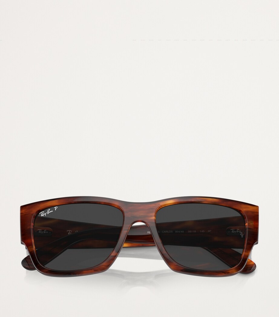 RB0947S Carlos Sunglasses 954/48 Image 5