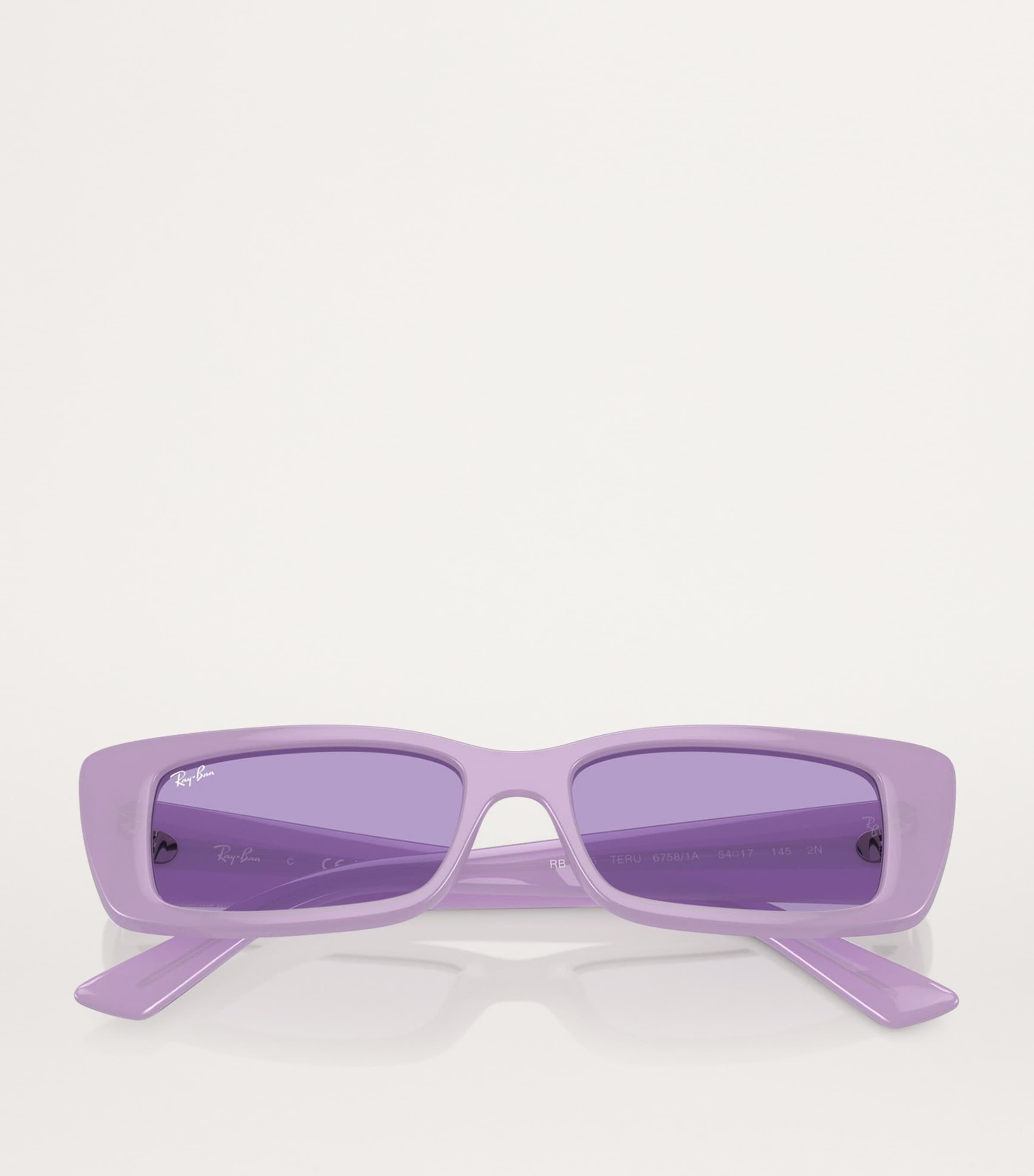 Bio-Based RB4425 Teru Sunglasses 67581A Image 4