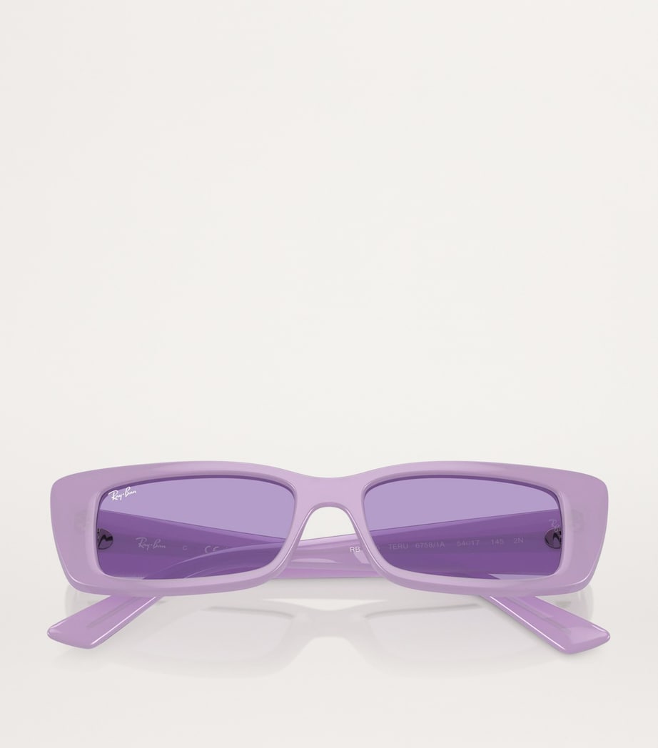 Bio-Based RB4425 Teru Sunglasses 67581A Image 4