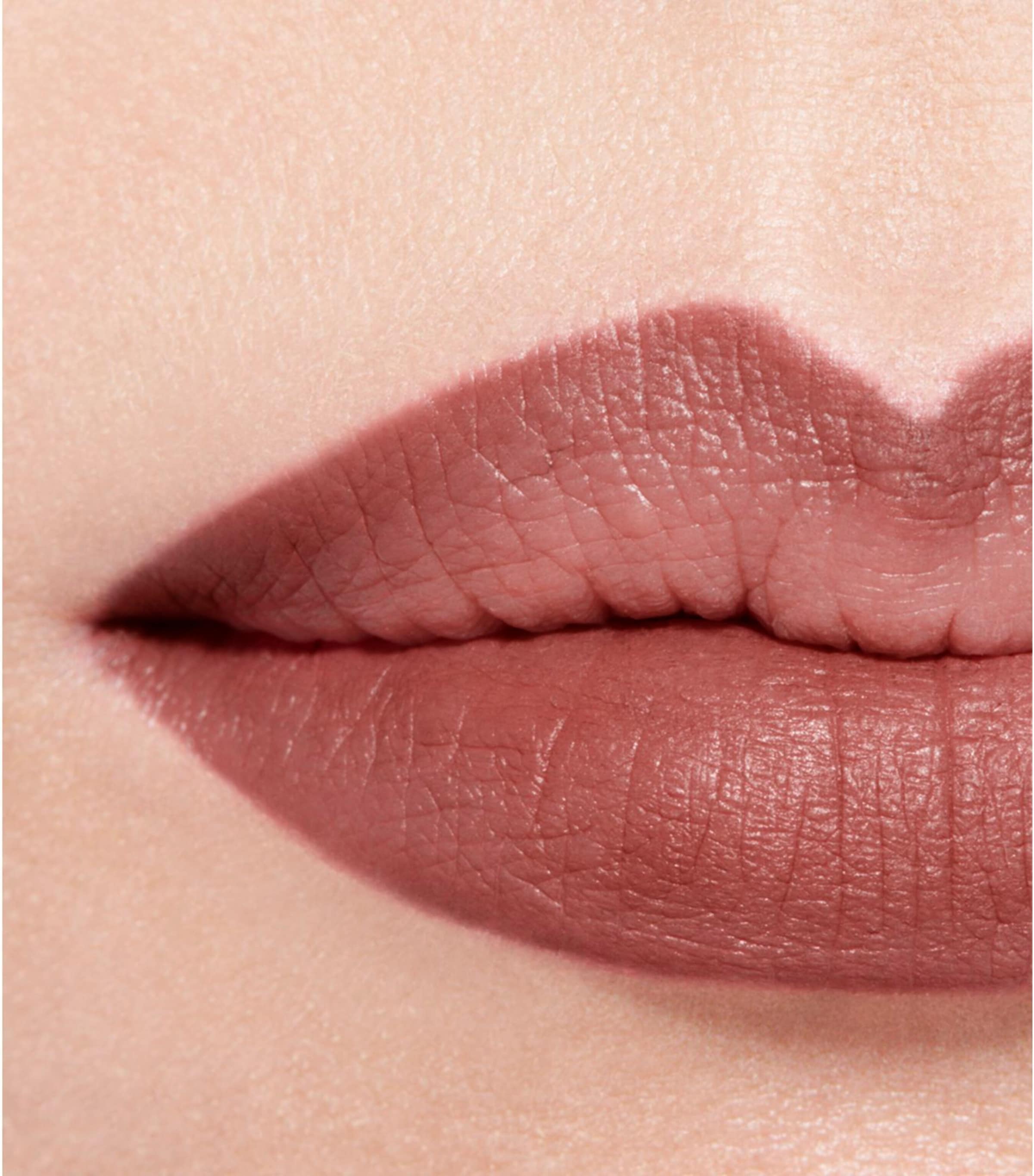 LE CRAYON LÈVRES RENOVATION Longwear Lip Pencil ROSE NATUREL Image 3