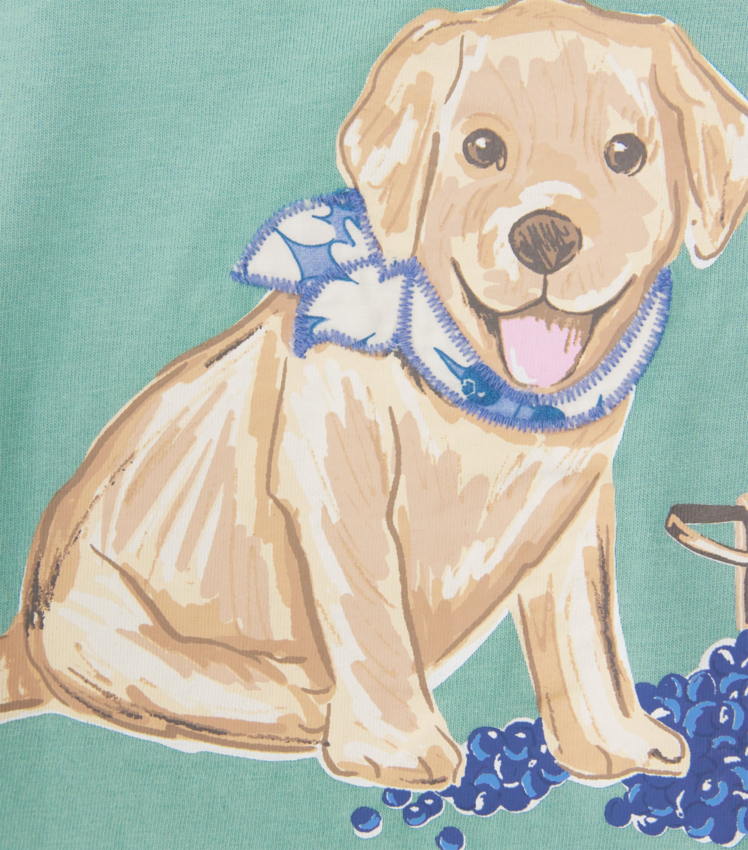 Cotton Printed T-Shirt (2-6 Years) GREEN Image 3