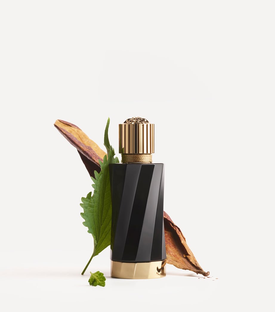 Atelier Collection Tabac Impérial Eau de Parfum (100ml) NO COLOUR Image 3