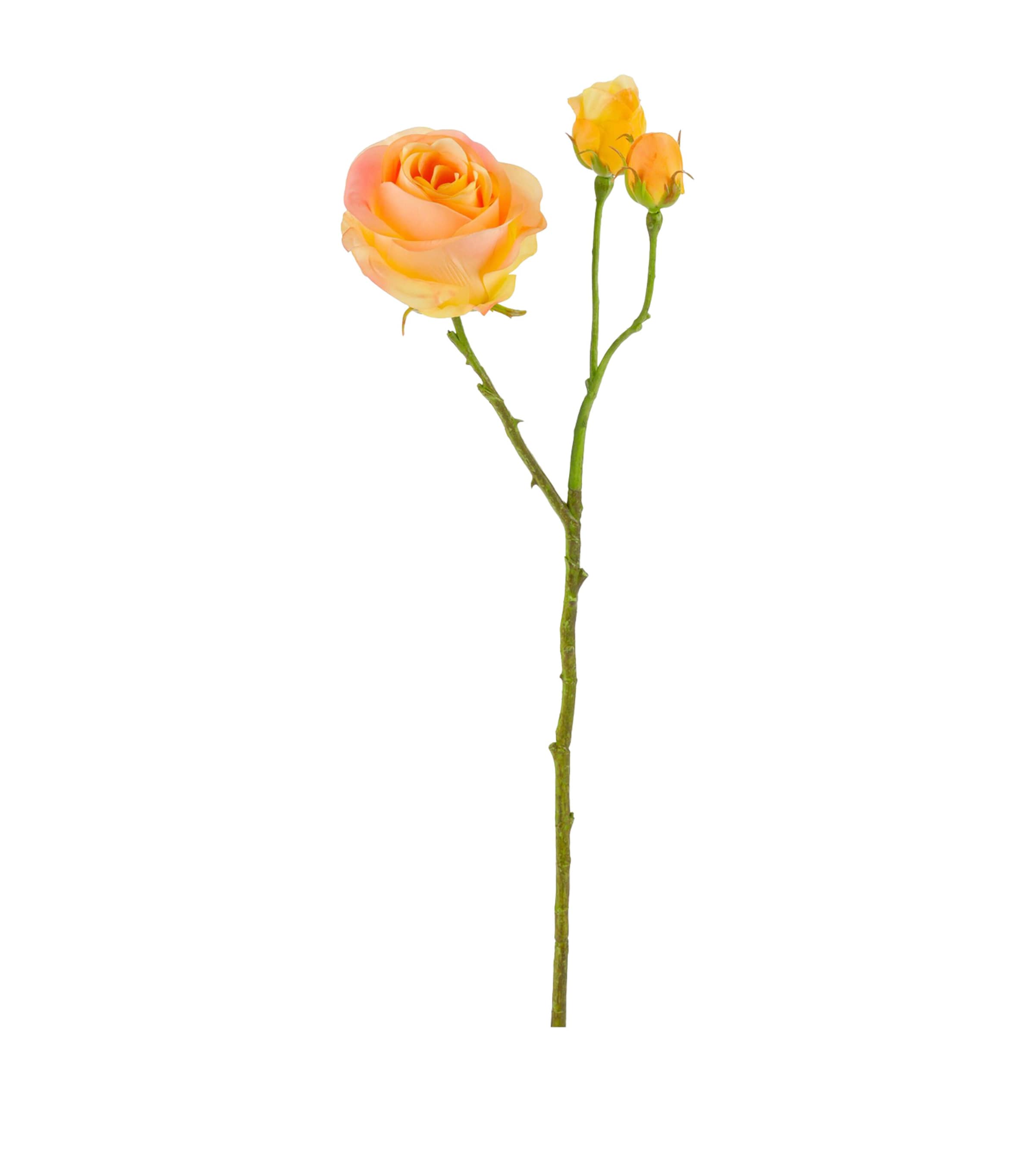 Silk-ka Artificial Rose Flower Bouquet Yellow Image 4