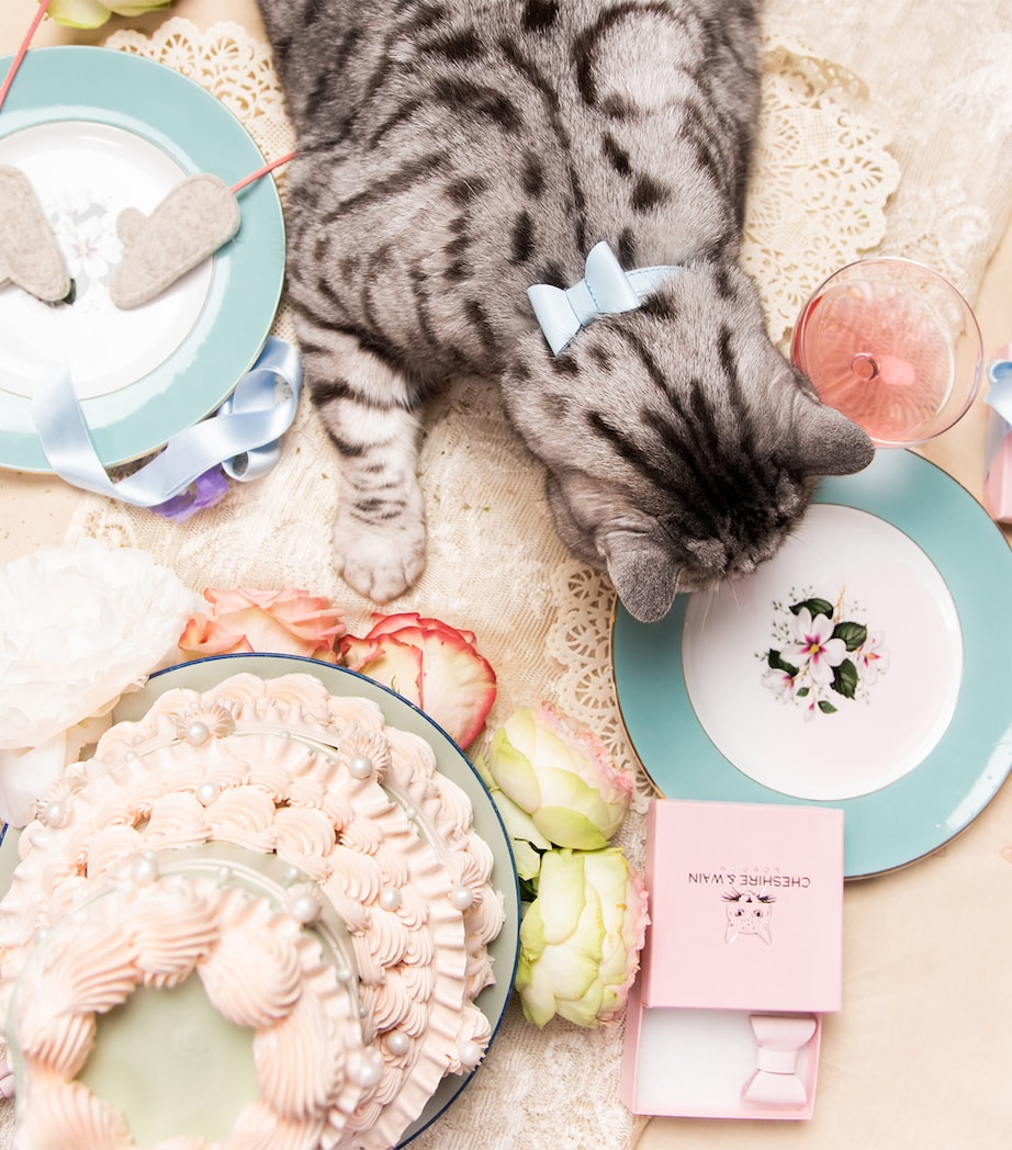 Medium Rococo Cat Collar With Bow BLUE Image 4