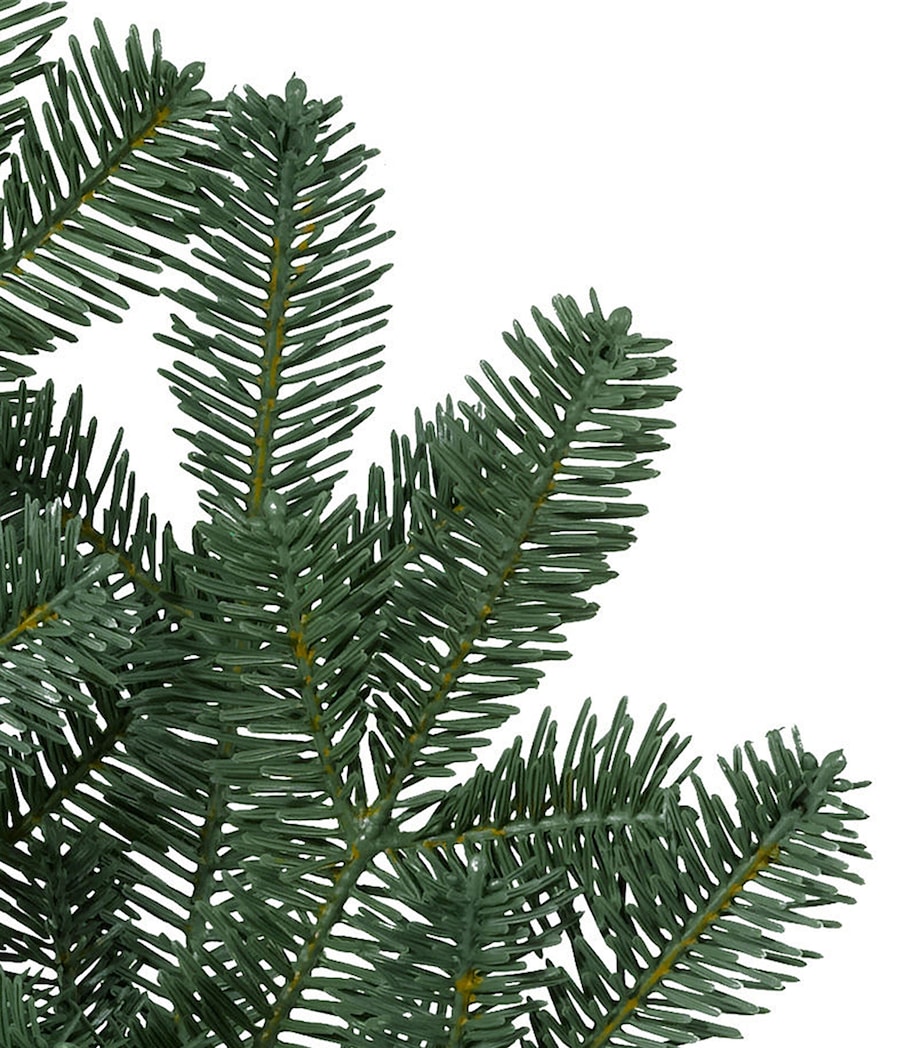BH Balsam Fir Tree (6ft) GREEN Image 4