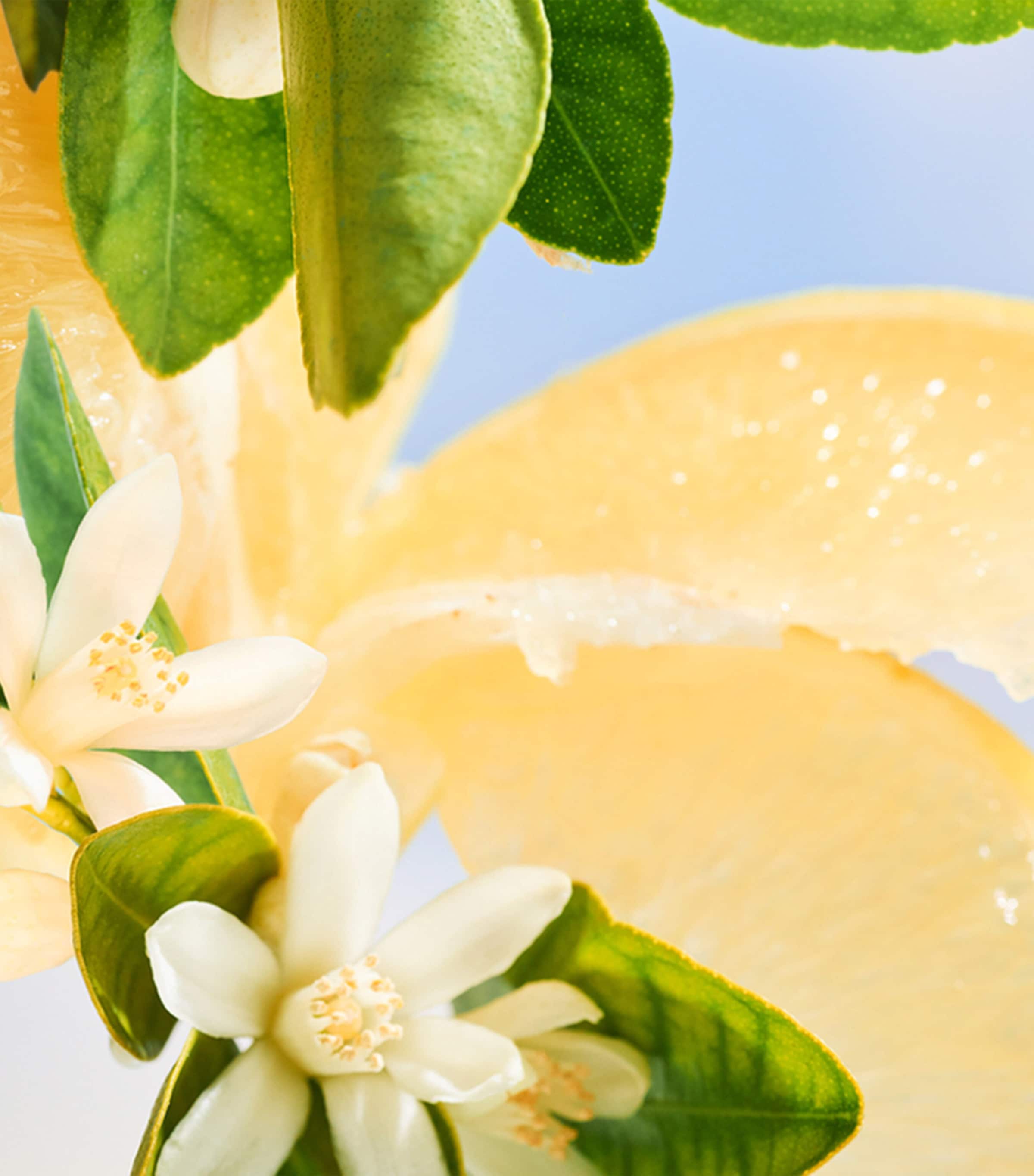 Allegra Riva Solare Hand and Body Liquid Soap (250ml) NO COLOUR Image 2