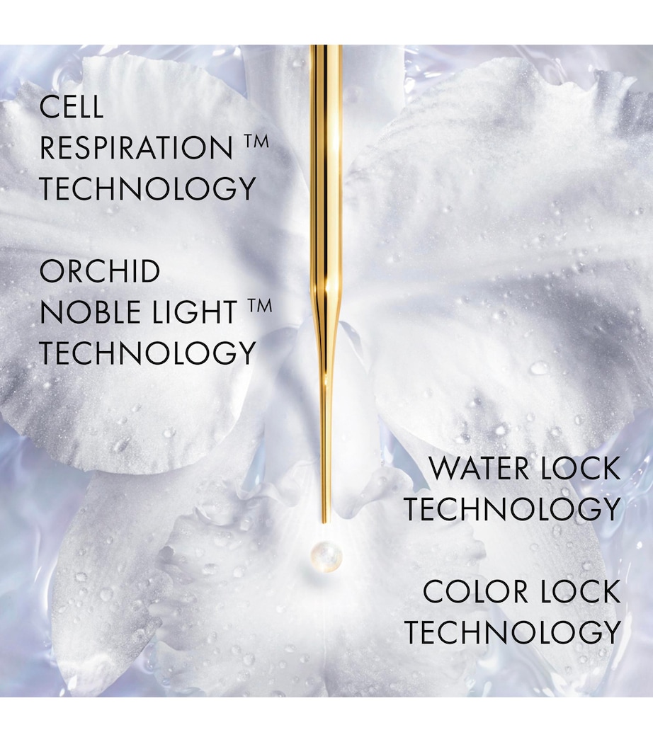 The Foundation Concentrate The Foundation Concentrate (30ml) T00N Image 4