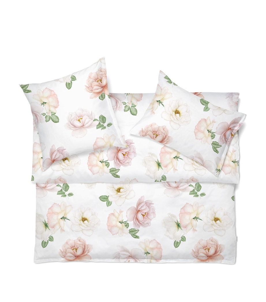 Schlossberg Cotton Rose-Noblesse King Oxford Pillowcase (50cm x 75cm) Blanc Image 1