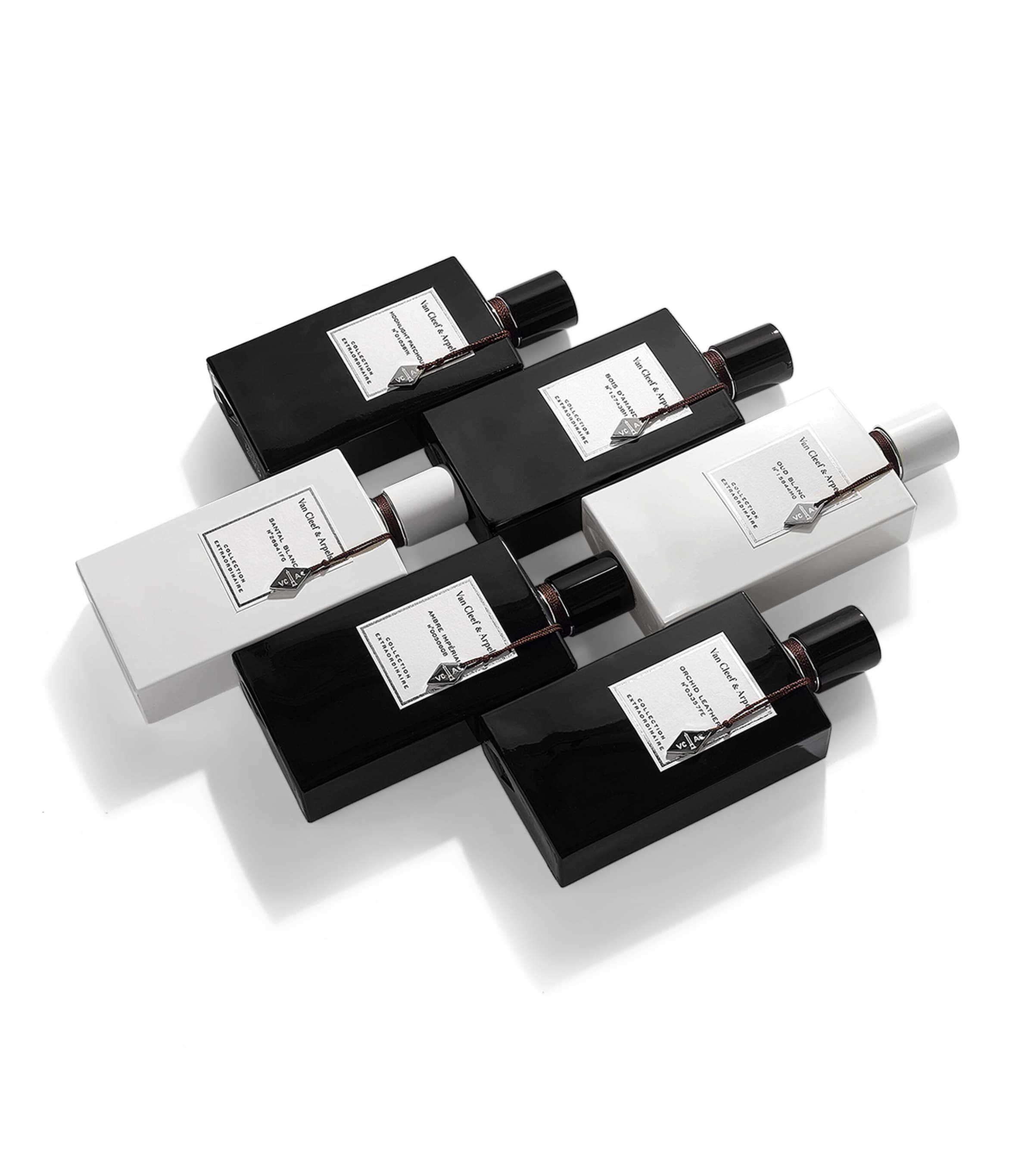 Collection Extraordinaire Bois Doré Eau de Parfum (75ml) NO COLOUR Image 5