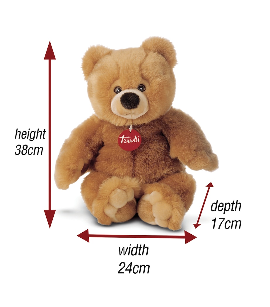 Medium Bear Ettore (38cm) MULTI Image 5