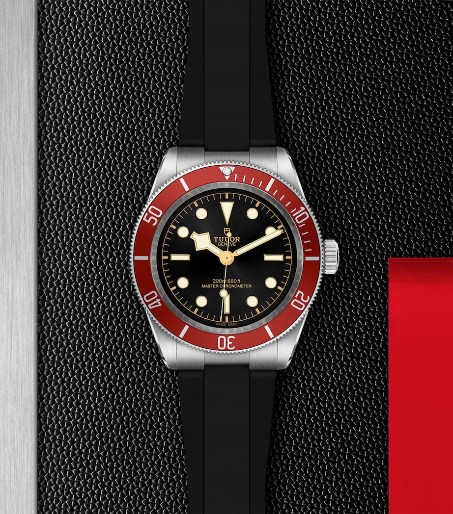 TUDOR Stainless Steel Black Bay Watch 41mm Black Image 3