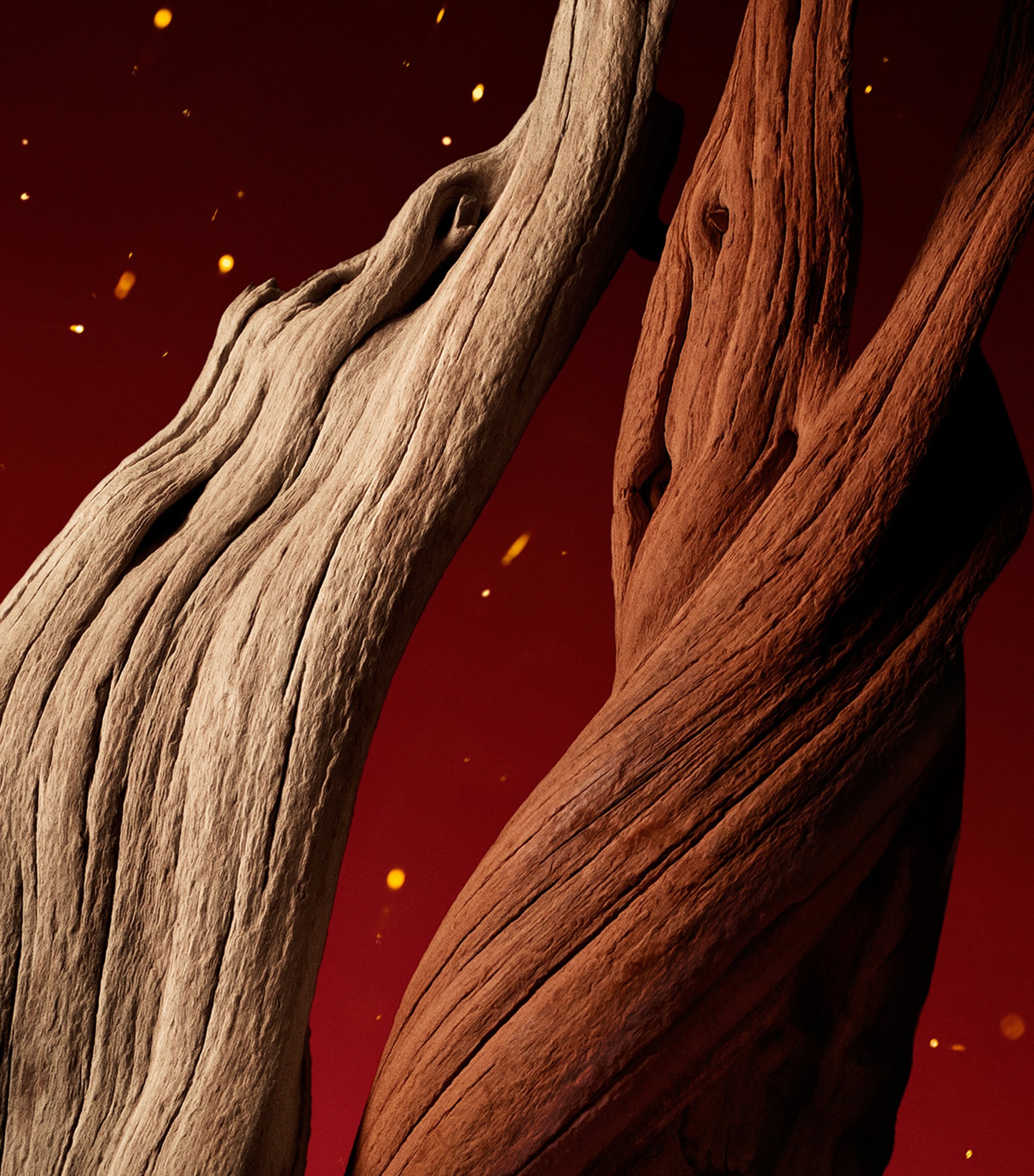 Lignum Idealis Eau de Parfum (50ml) NO COLOUR Image 4