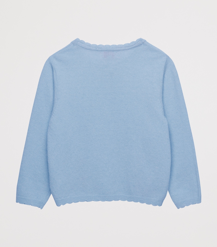 Duck and Bunny Intarsia Cardigan (6-11 Years) PALE BLUE Image 2