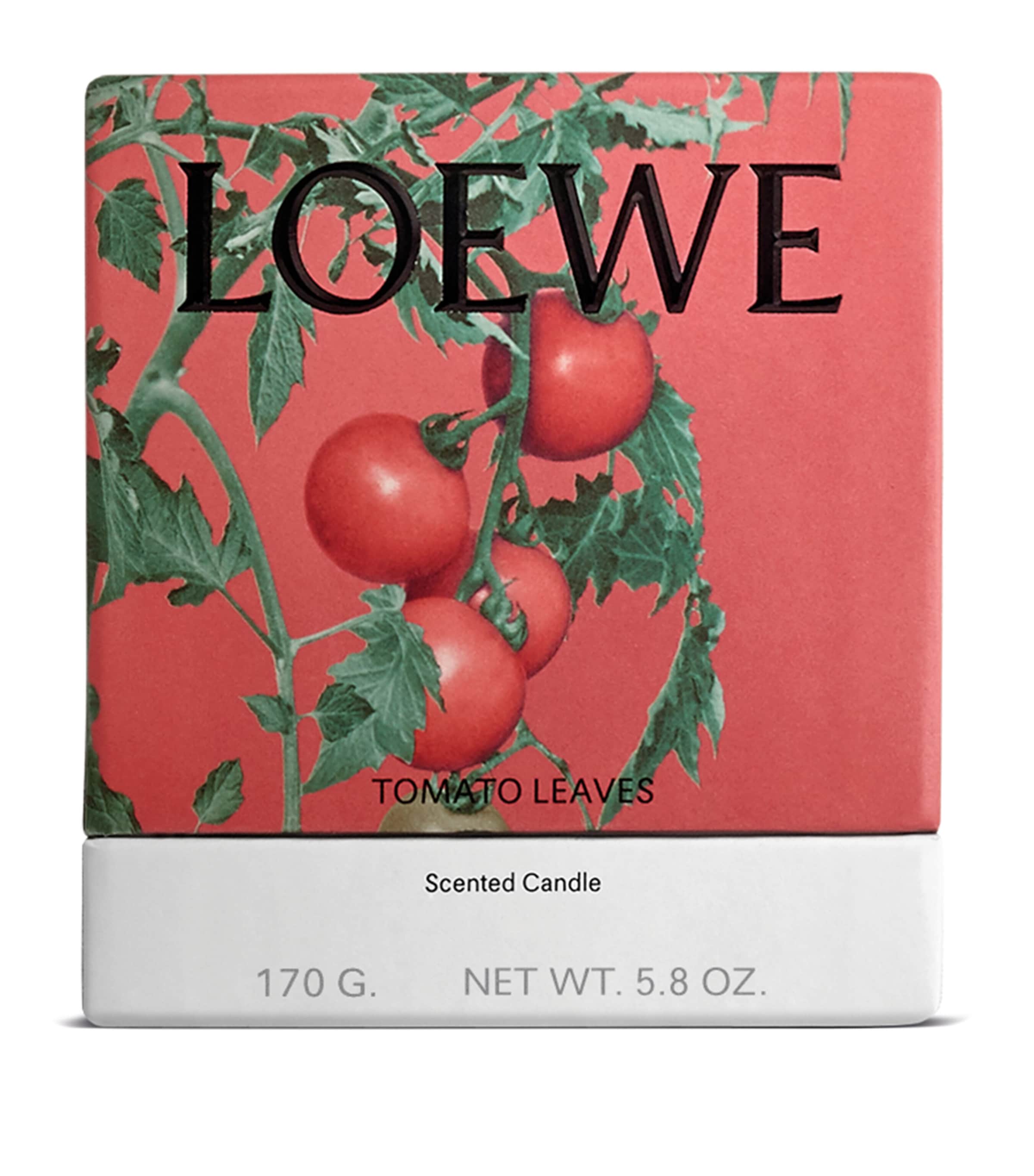 LOEWE Small Tomato Leaves Candle (170g) | Harrods US