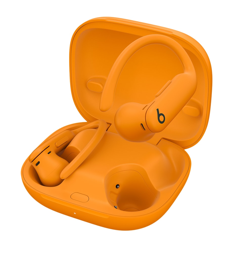 Powerbeats Pro 2 Earbuds ORANGE Image 2